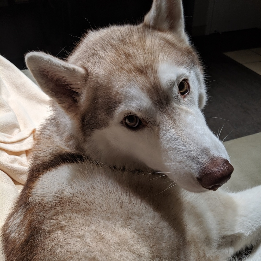 Meet your Posher, Jackie